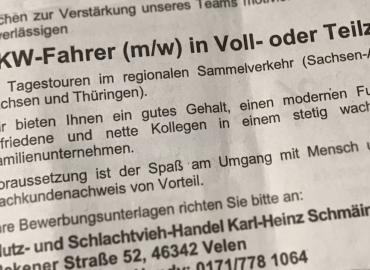 Aktuelles Jobangebot